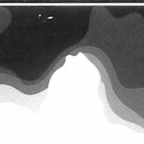 Immagine-WhatsApp-2023-10-25-ore-09.56.31_b15b9da2