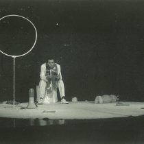 asino albino_archivio 2